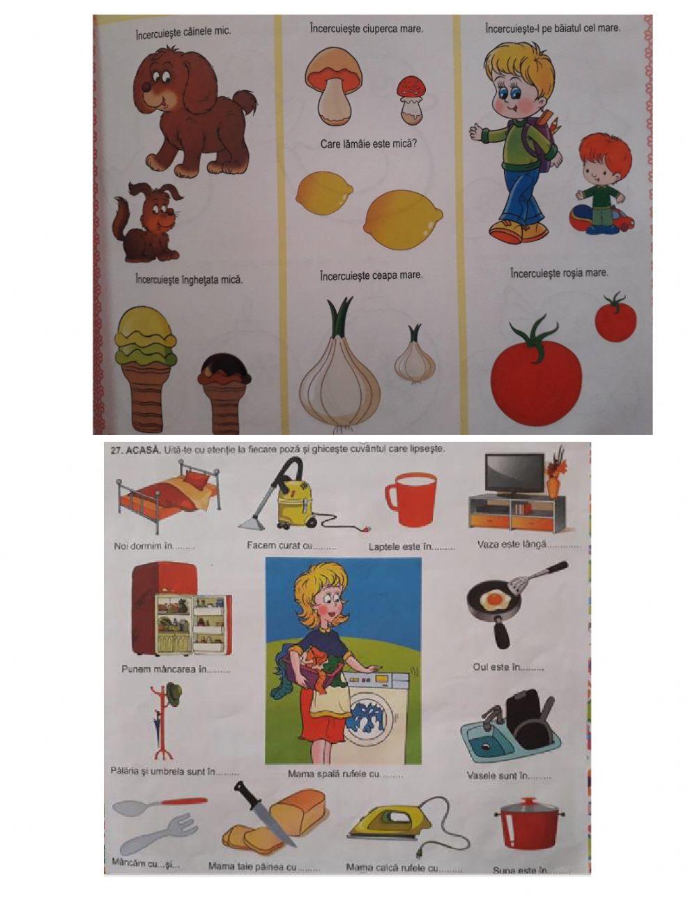 Evaluare culori, forme, obiecte identice, denumire obiecte, litere