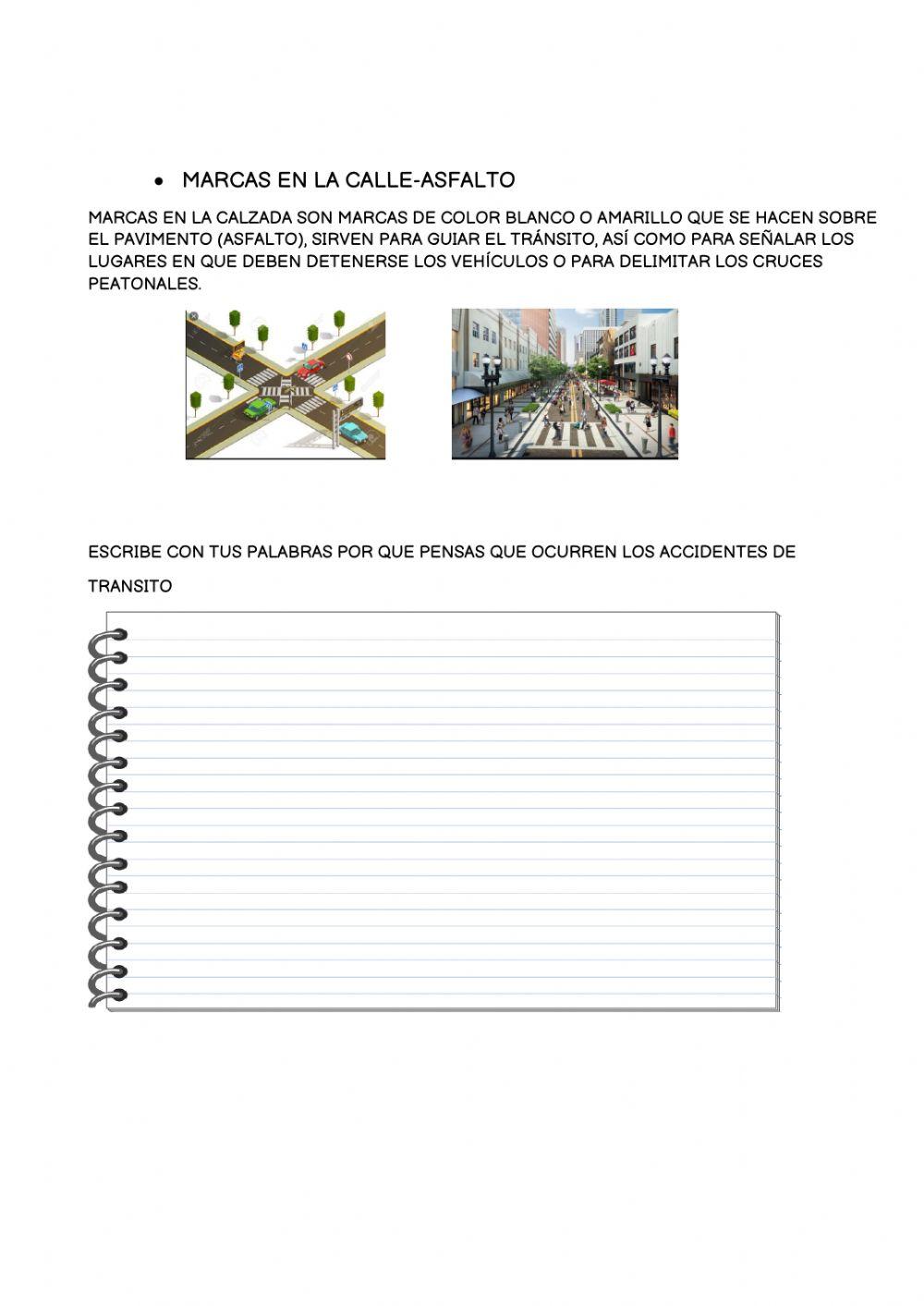 Seguridad vial (m11p1)