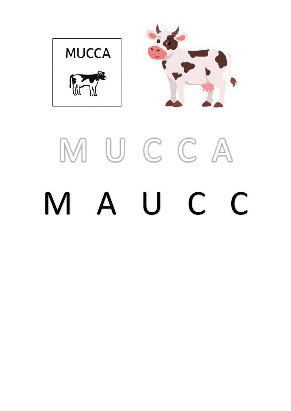 Parole con M - instruzioni in CAA