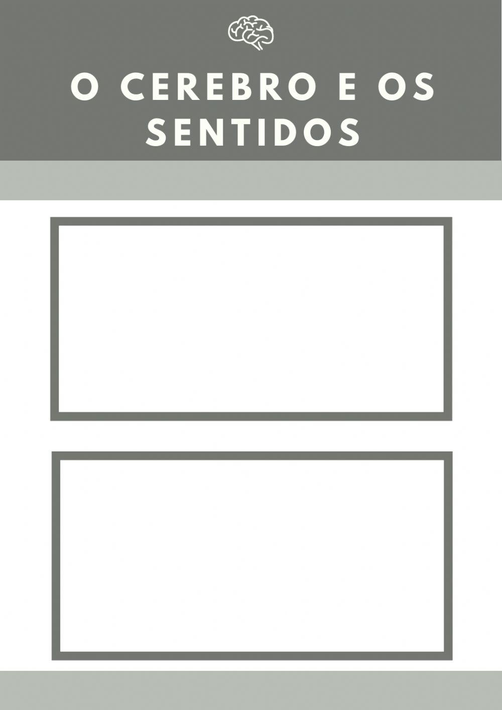 O cerebro e os sentidos