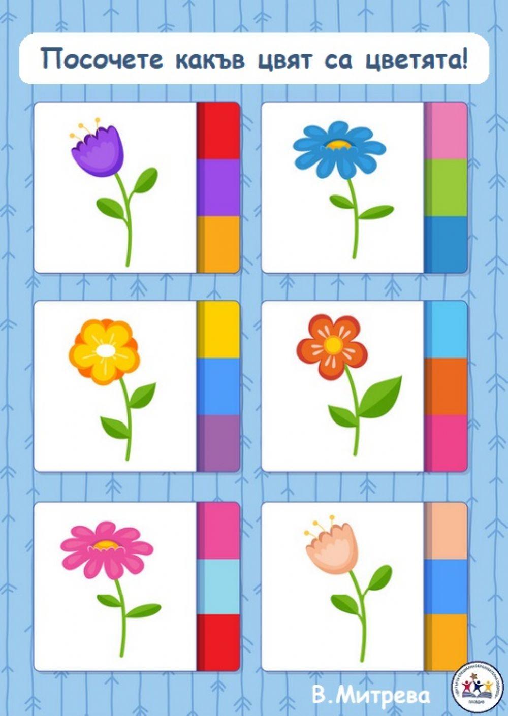 Посочете какъв цвят са цветята!