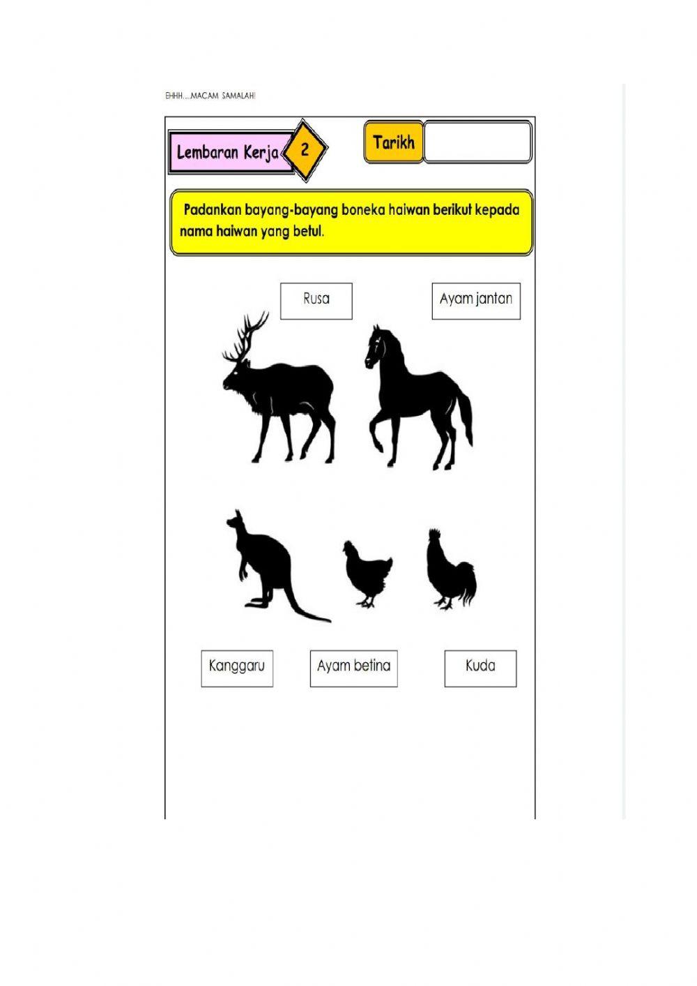 Terang dan gelap tahun 2