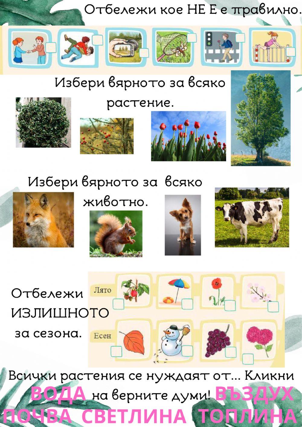 Входяща диагностика по Околен свят за 2. клас