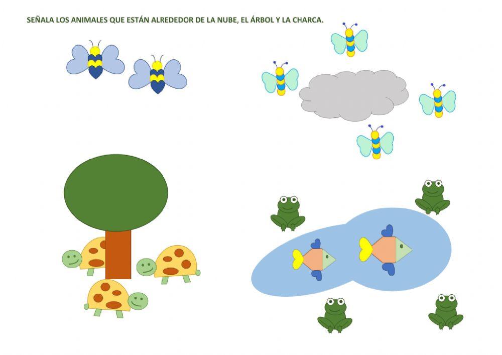 Selecciona los animales que están alrededor