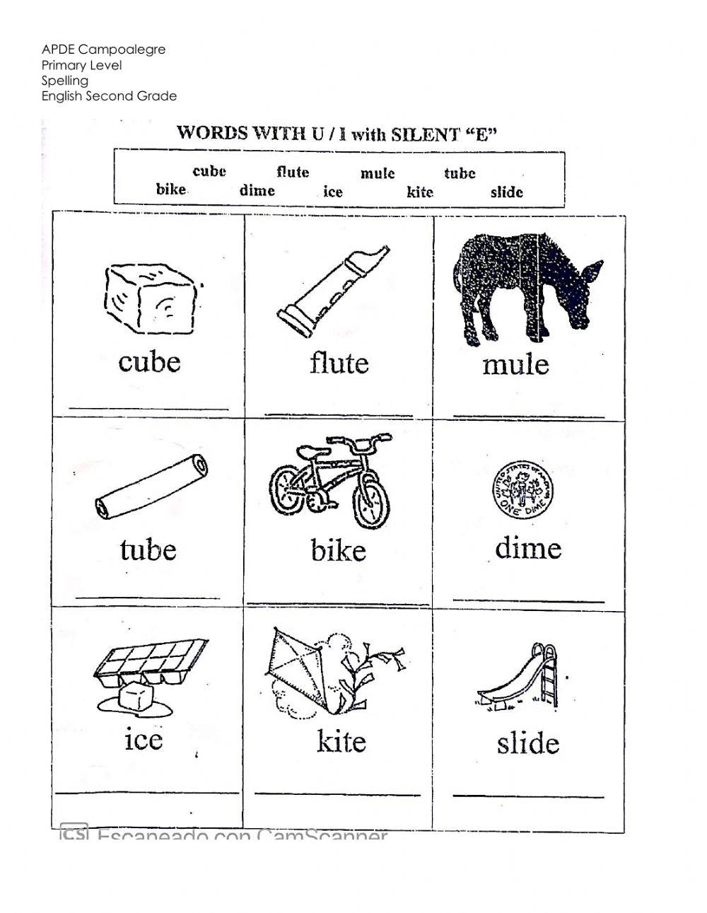 Long u-i words with pictures