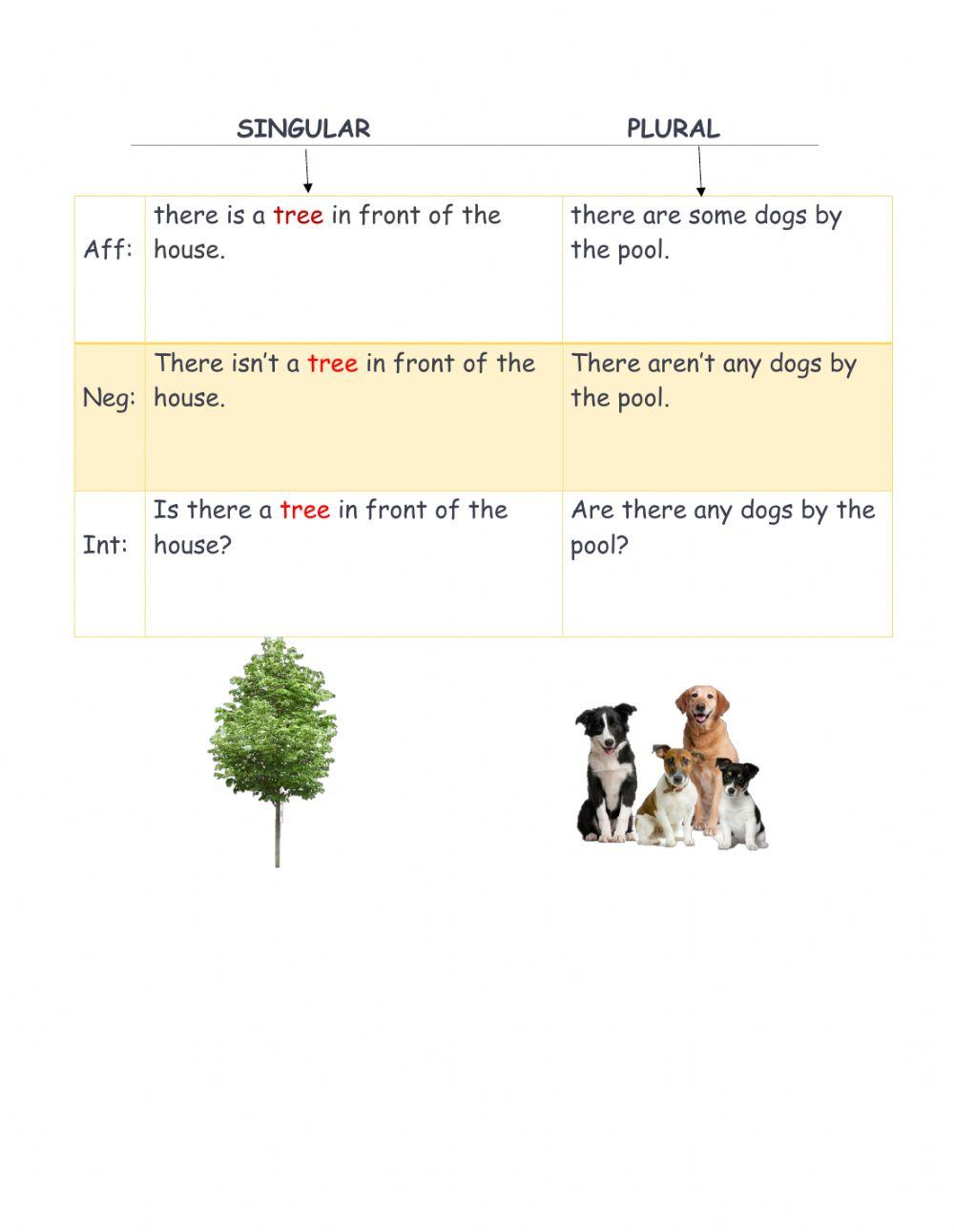 There is and there are