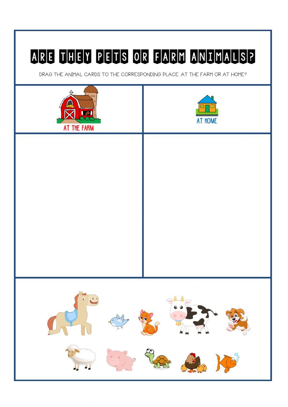 Animals: pets and farm animals