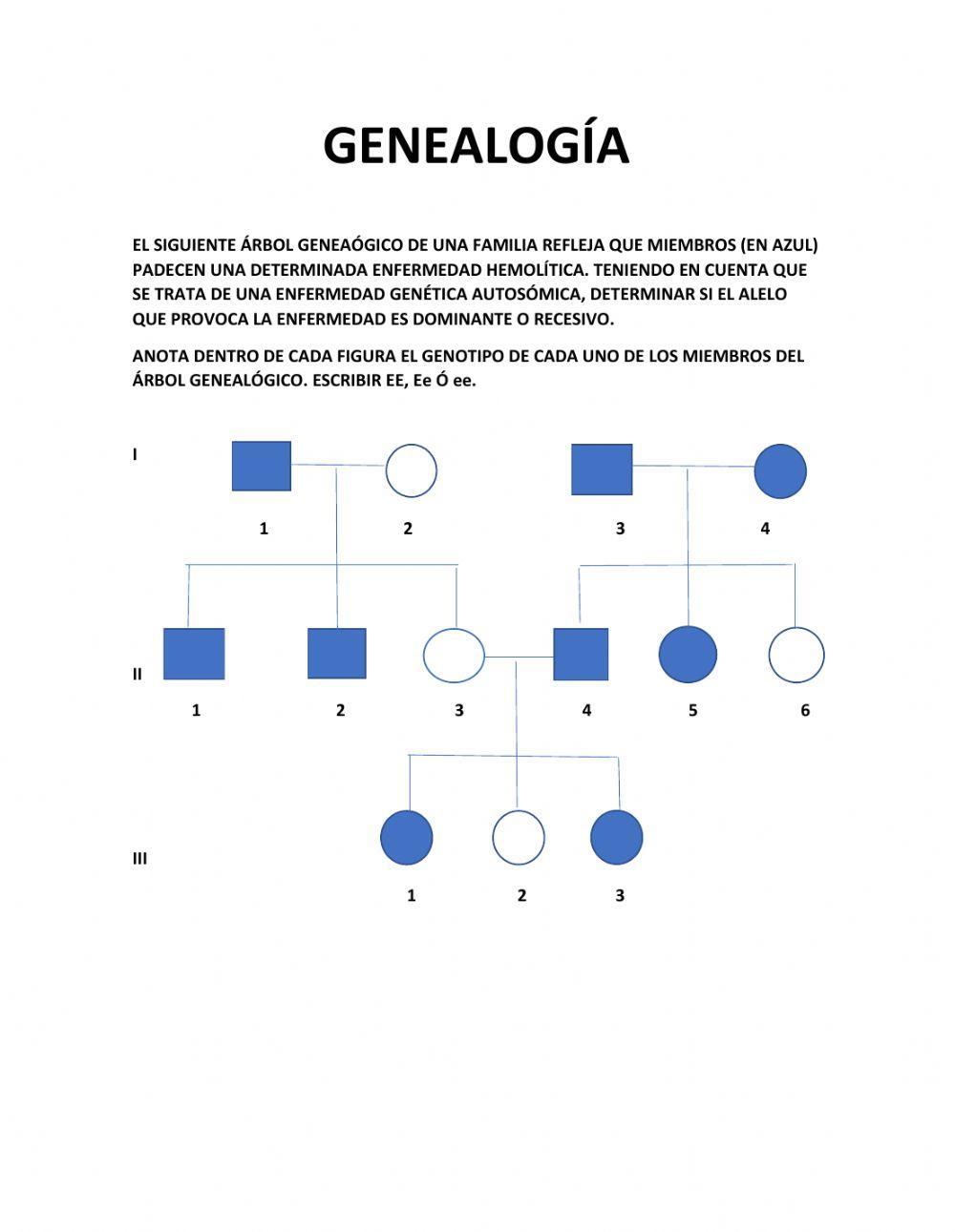 GENEALOGÍA