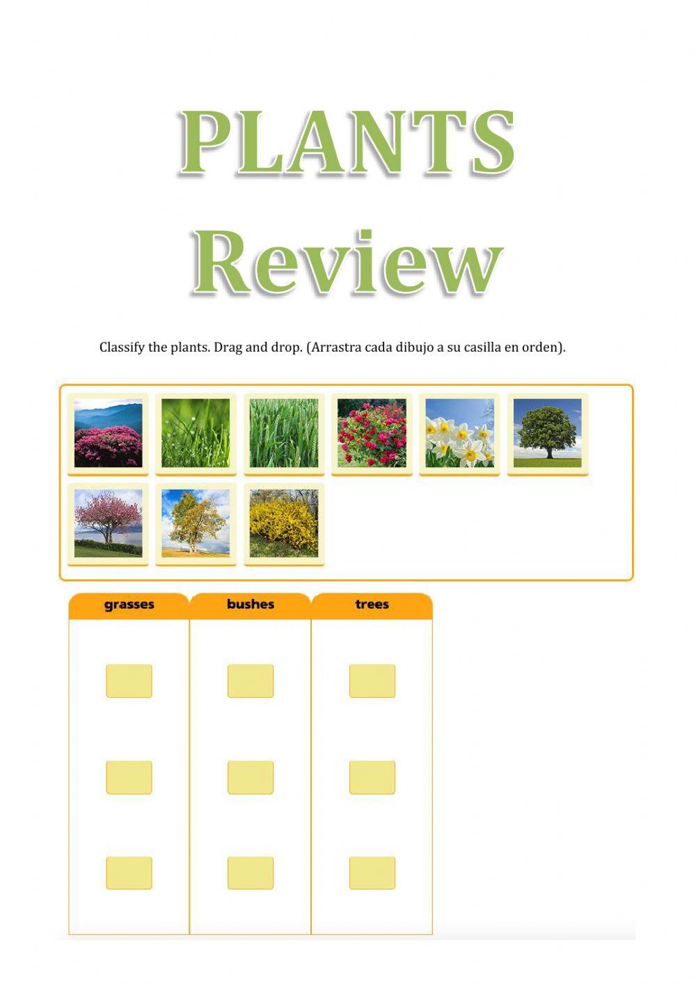 Plants review
