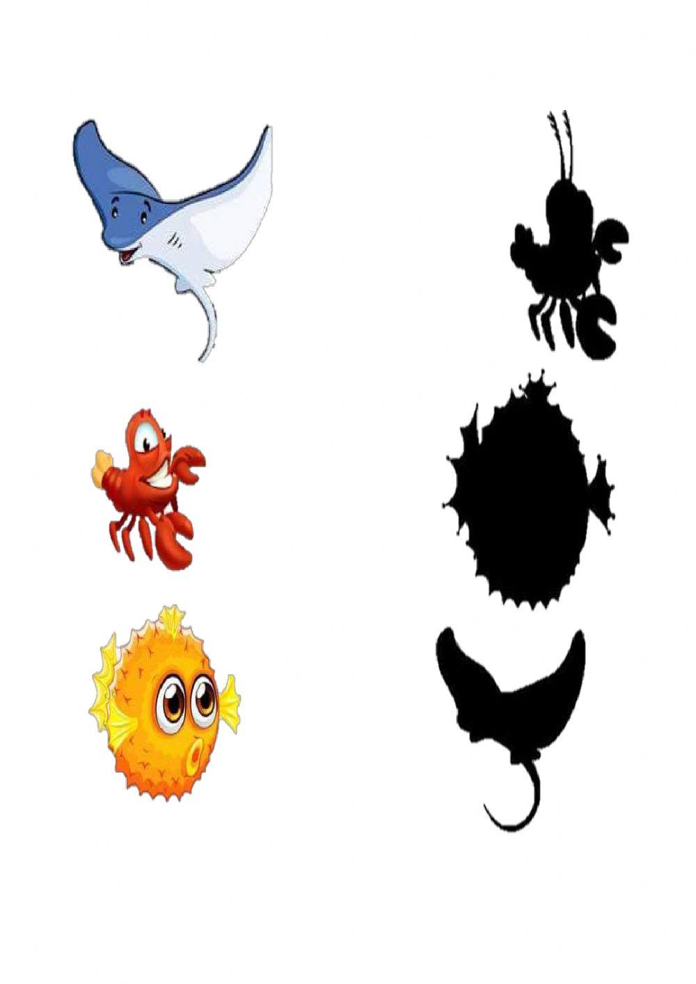 Animali del mare e le sue ombre