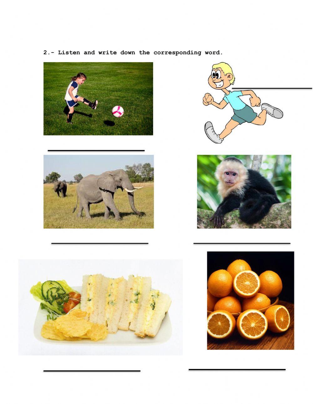 4th grade listening final