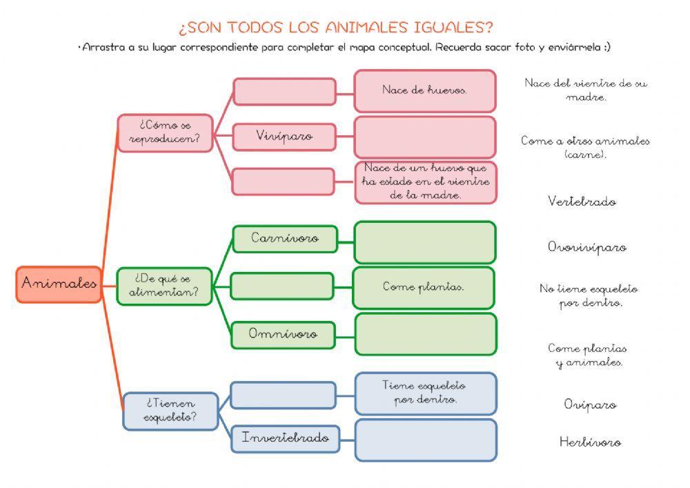 Los animales. Mapa conceptual