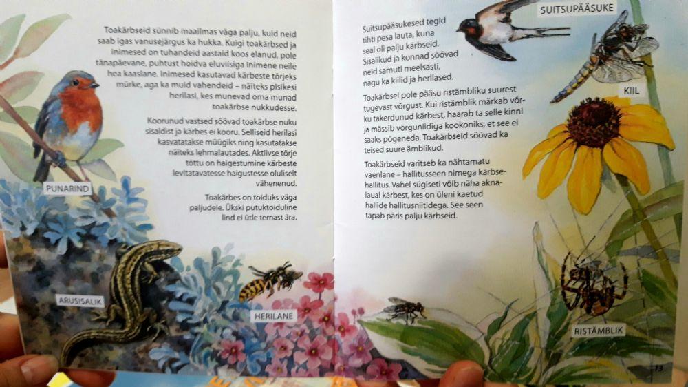 Toakärbse vaenlased