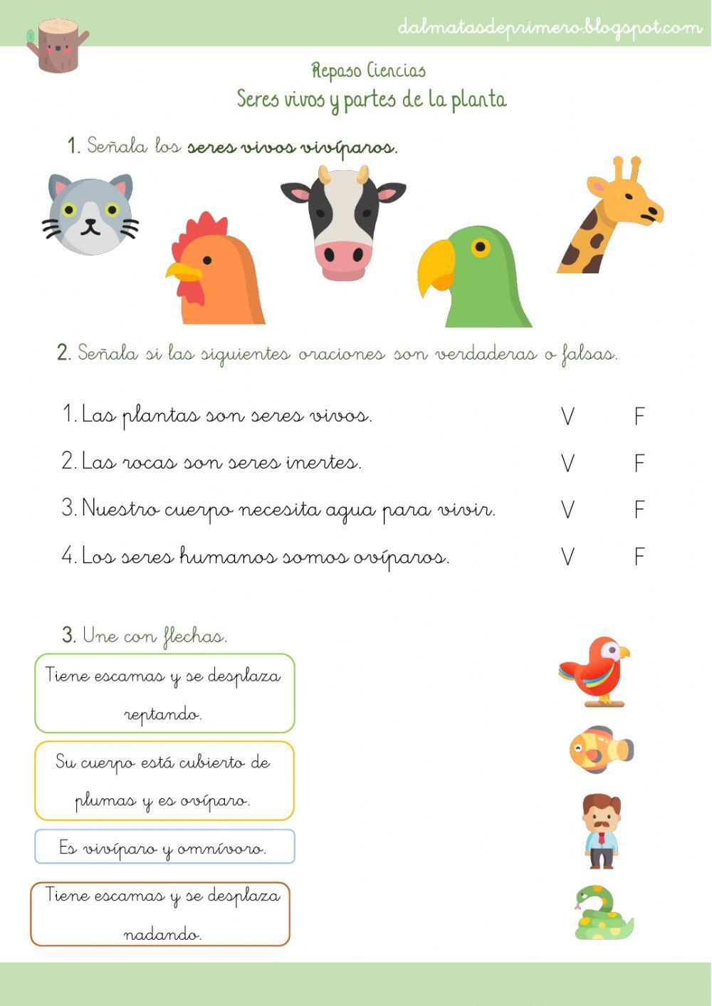 Repaso final ciencias