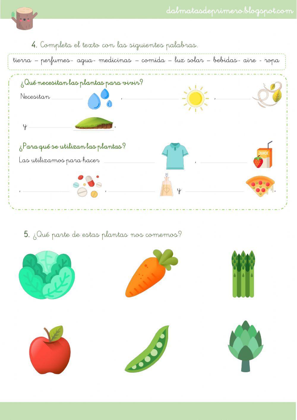 Repaso final ciencias
