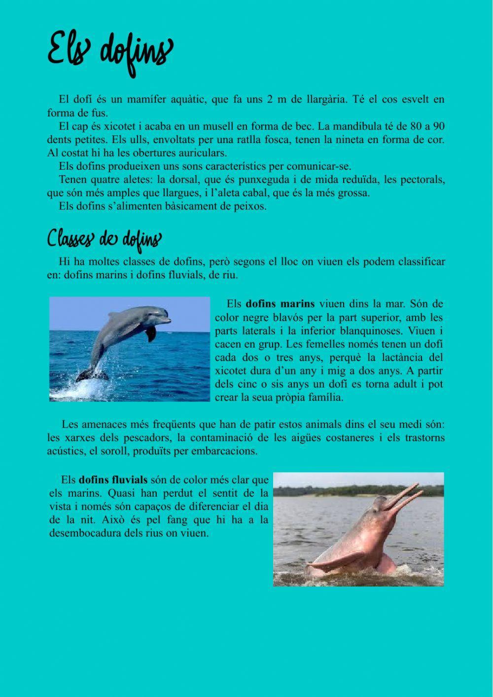 C.L. Els dofins