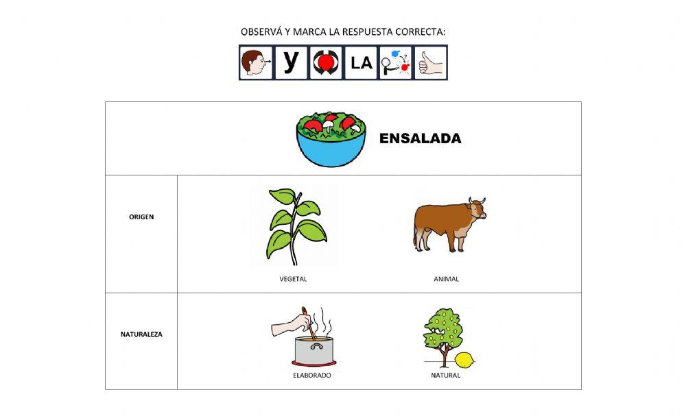 Clasificación de alimentos