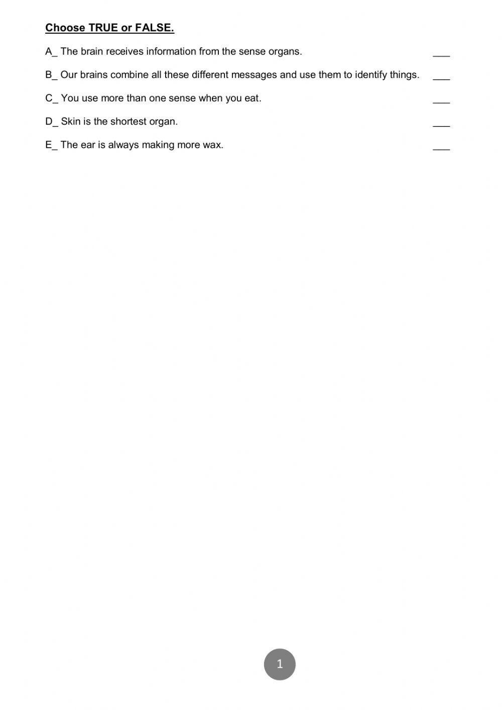 Our Senses and our Brain