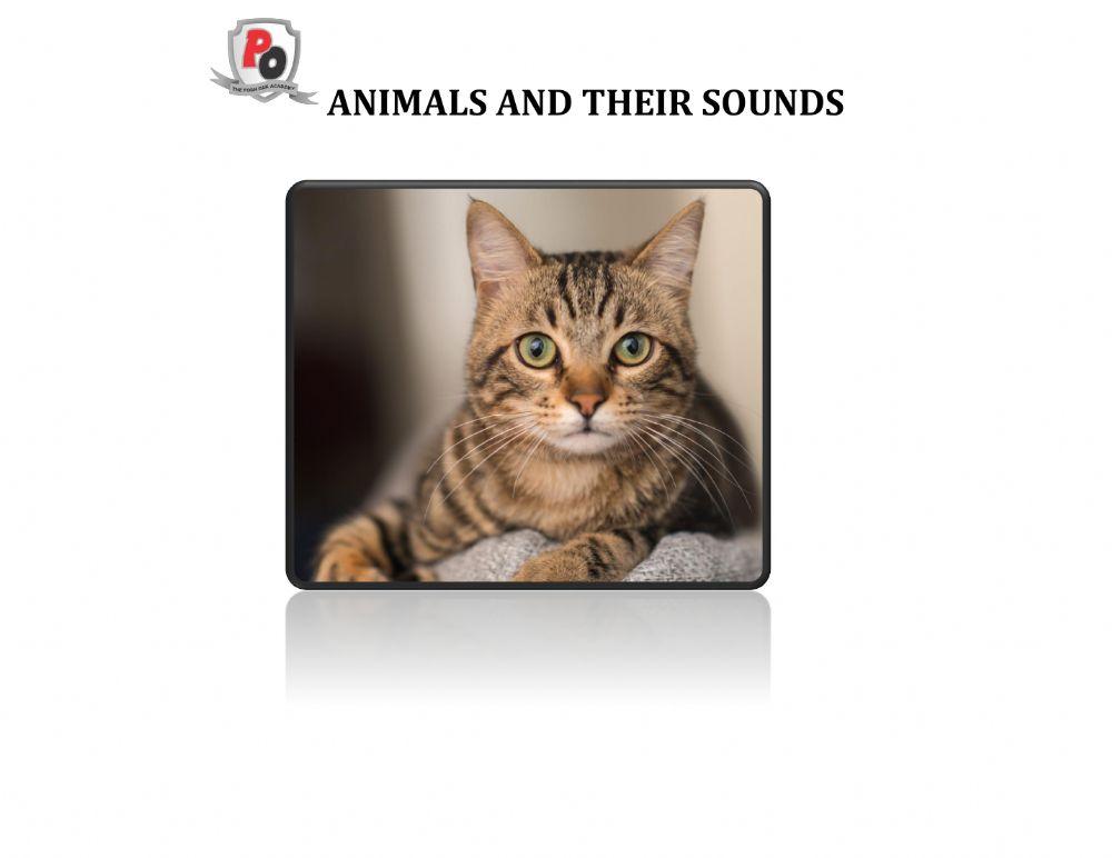Animals and their sounds