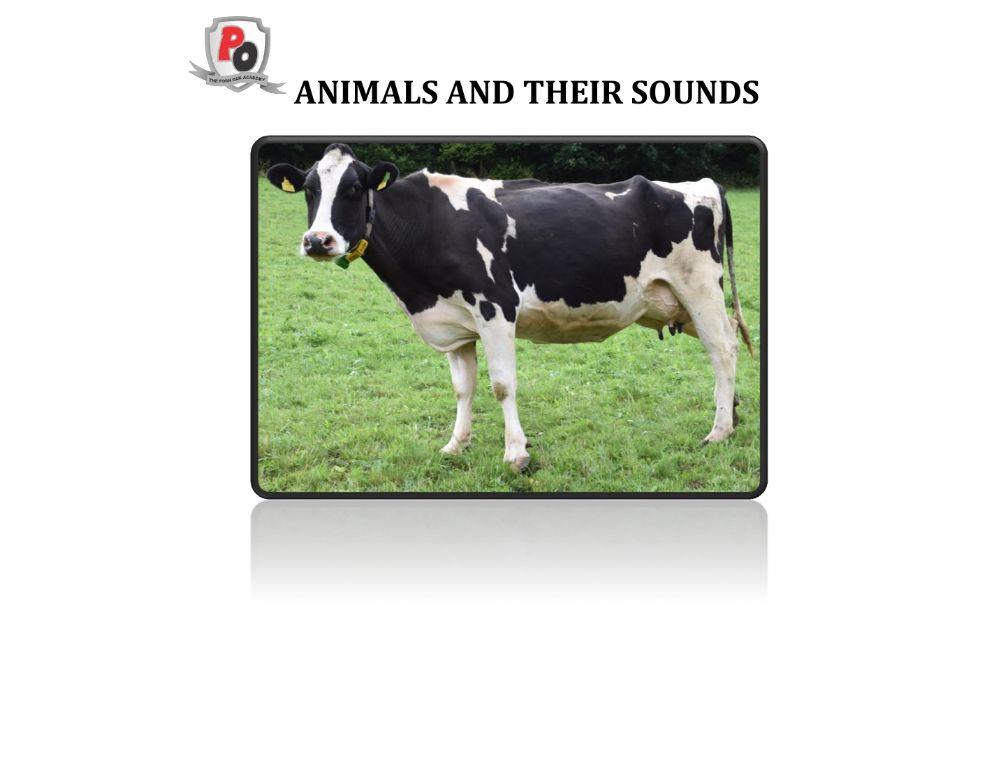 Animals and their sounds