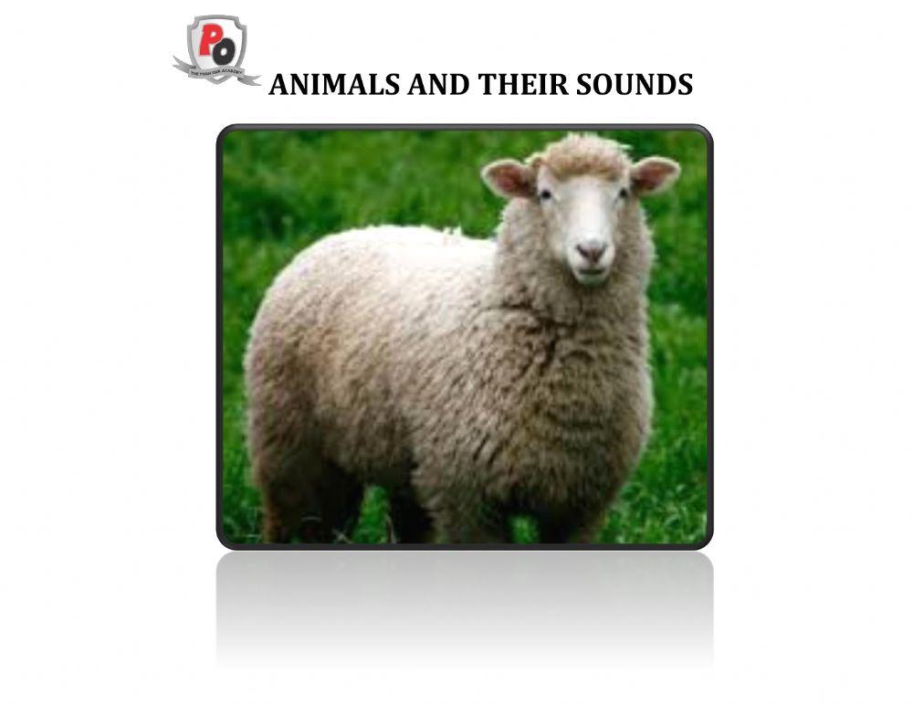 Animals and their sounds