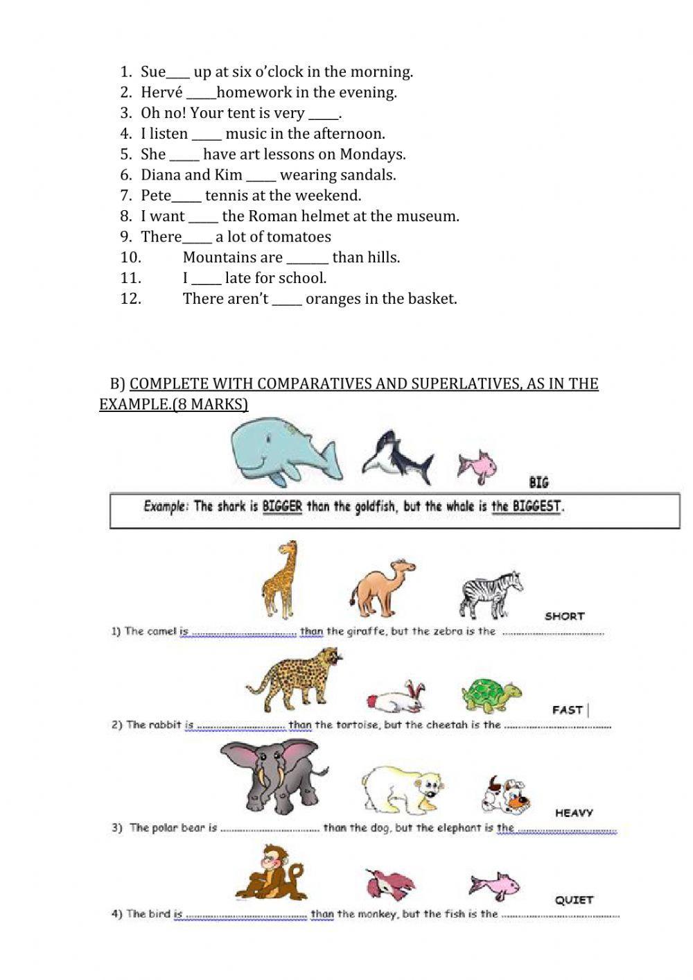 Mid Term Test 5th Grade