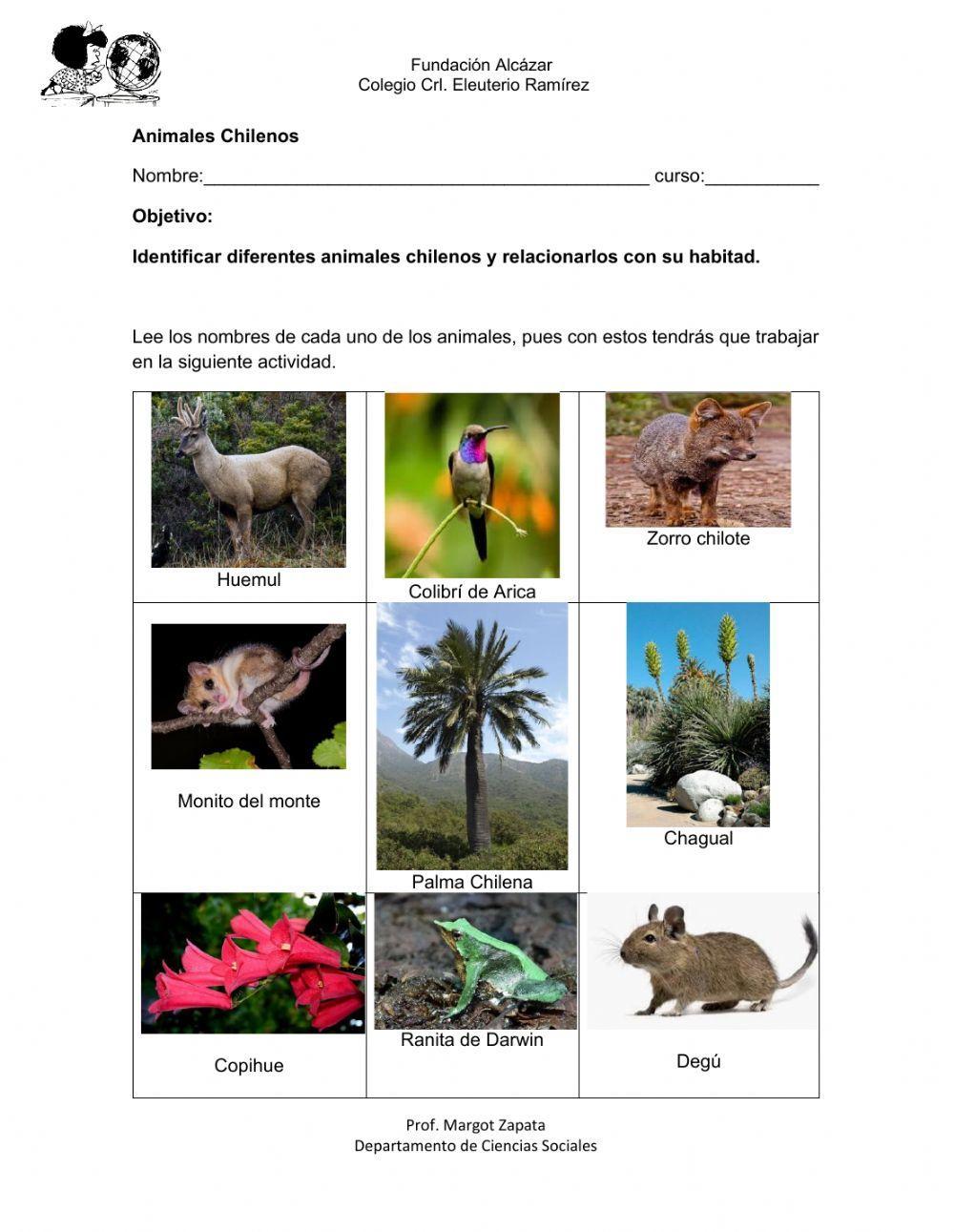 Animales de chile