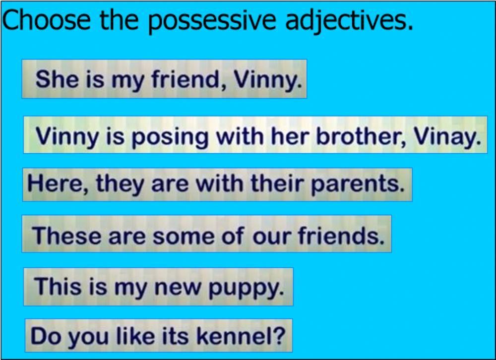 Possessive adjectives