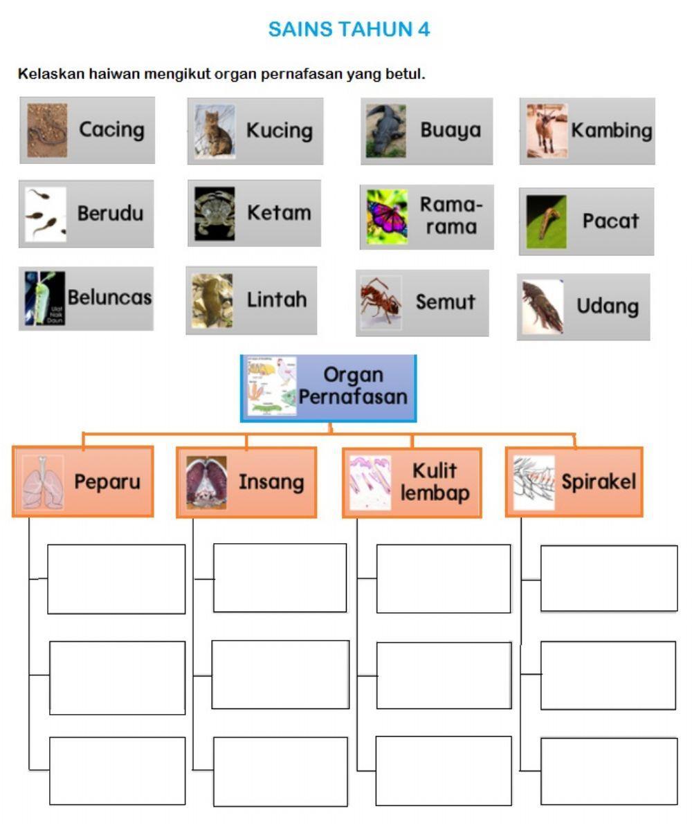 Sains Tahun 4 Sains Tahun 4