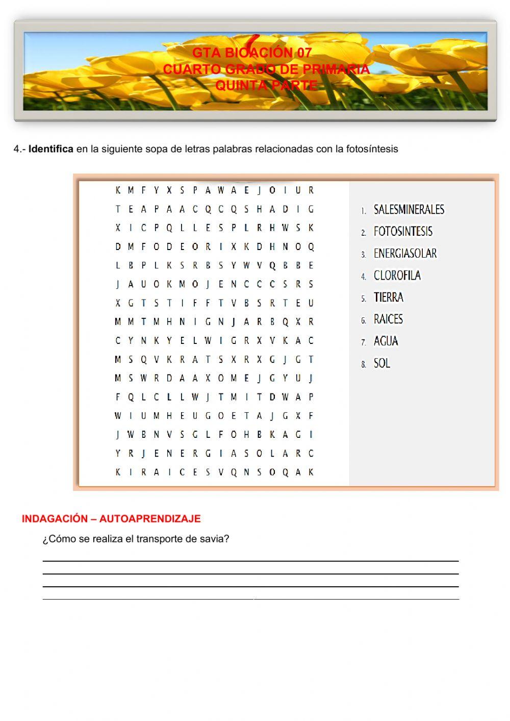 Gta 7 - ciencia- quinta parte