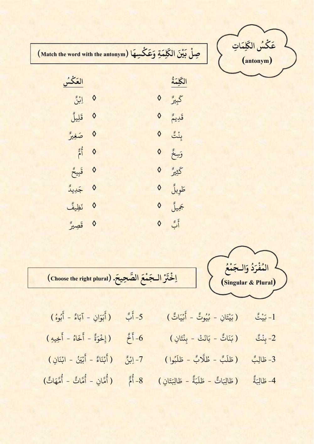 Antonym & singular plural