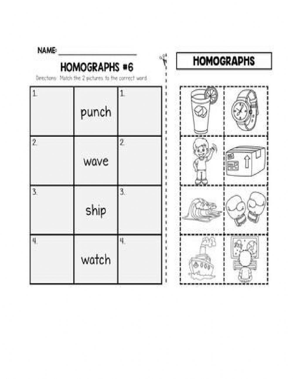 Homonyms-Homographs