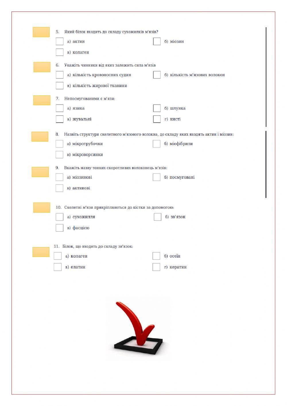 М-язи людини