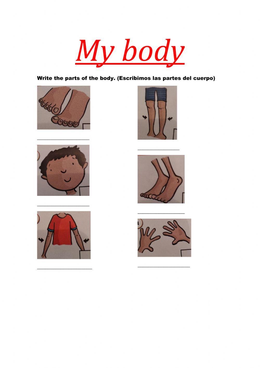 MY BODY (Unit 3 Poptropica 1)