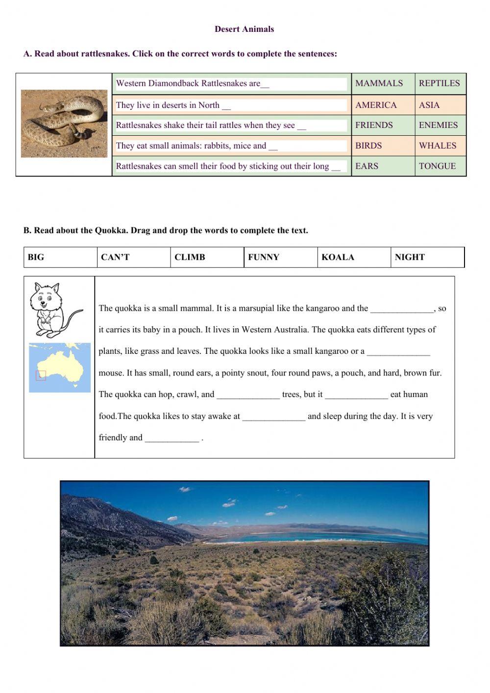 Project: Desert animals