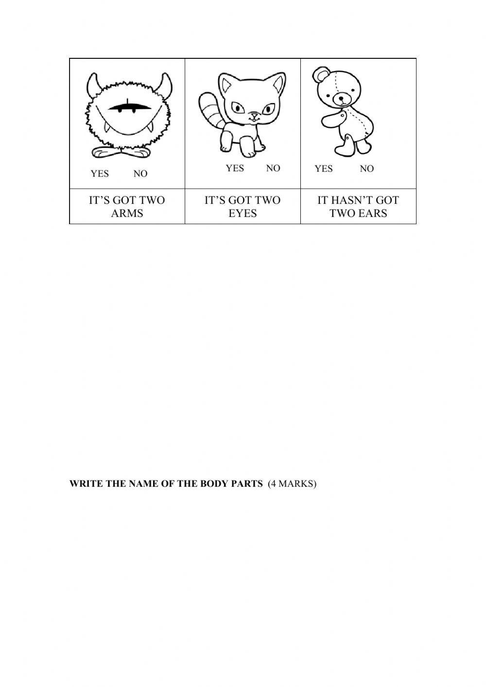 Mid term test 1st grade