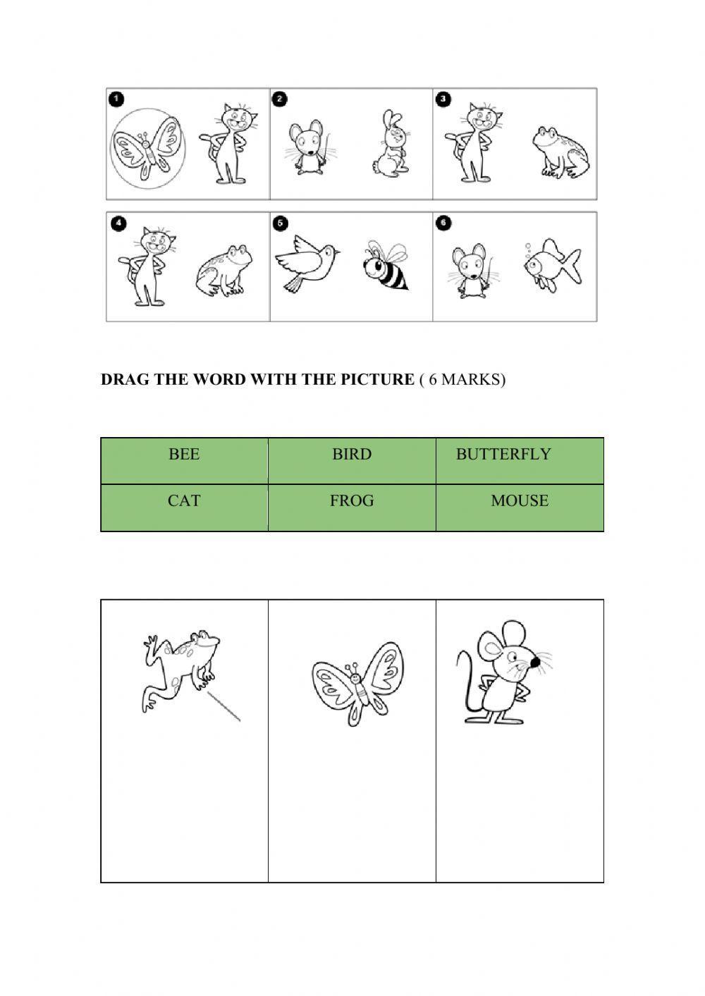 Mid term test 1st grade
