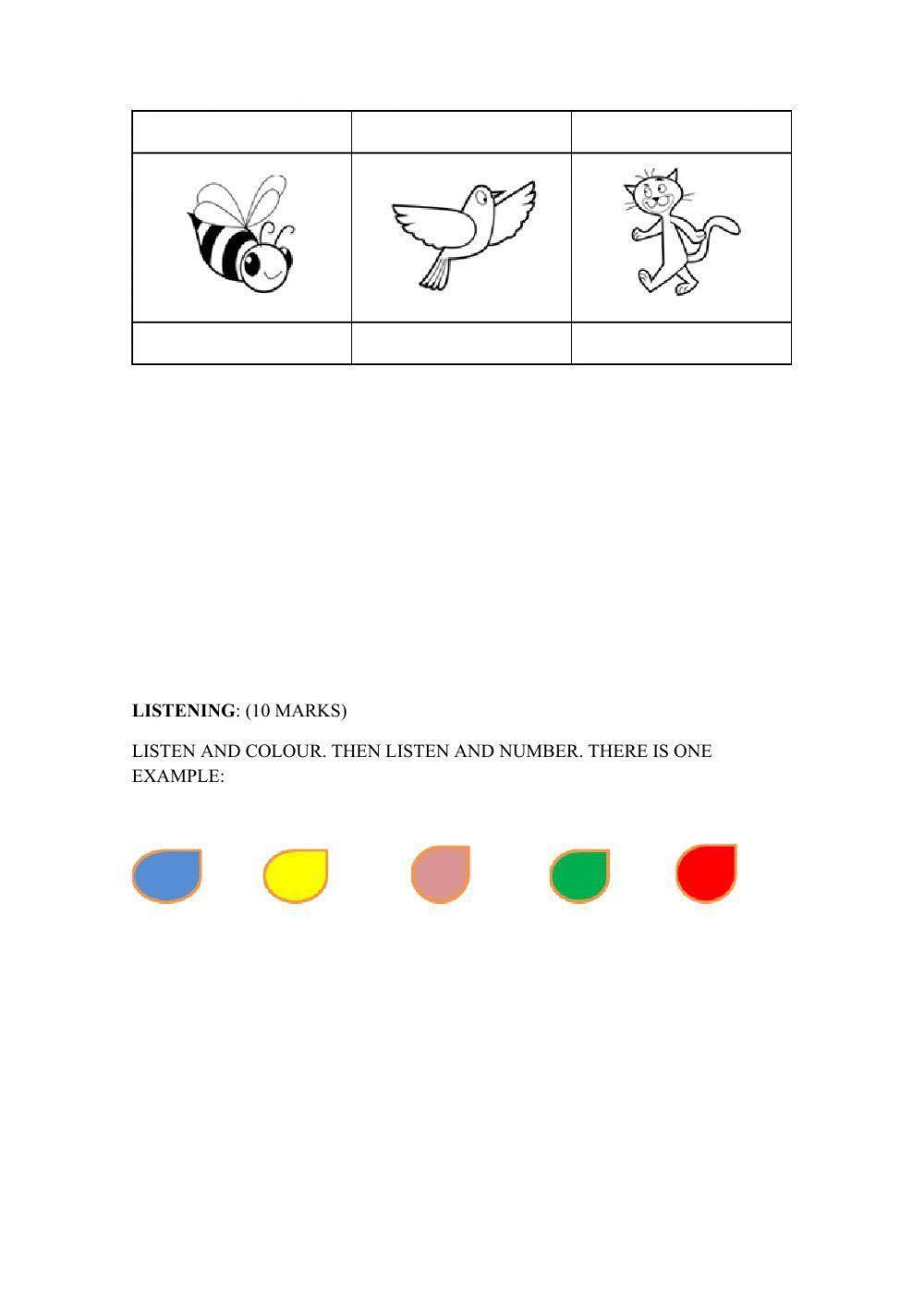 Mid term test 1st grade