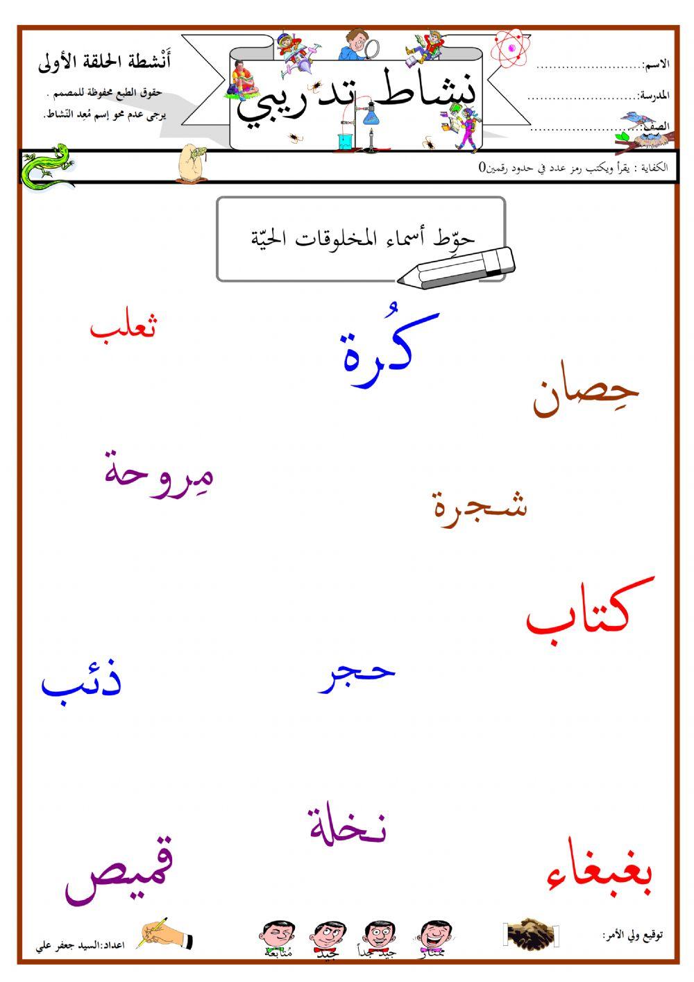 نشاط الصف الأول - مادة العلوم 11