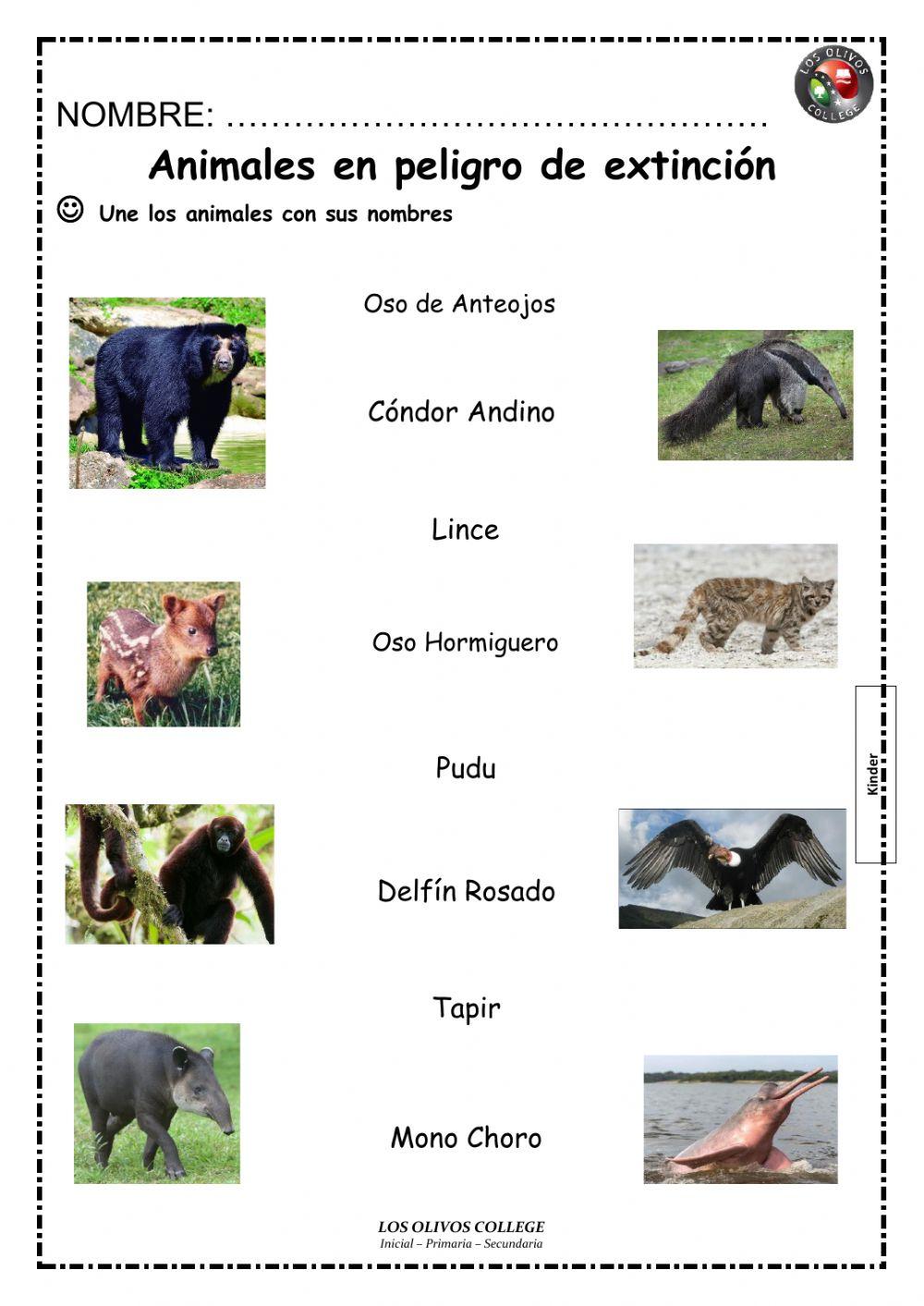 Animales en extinción