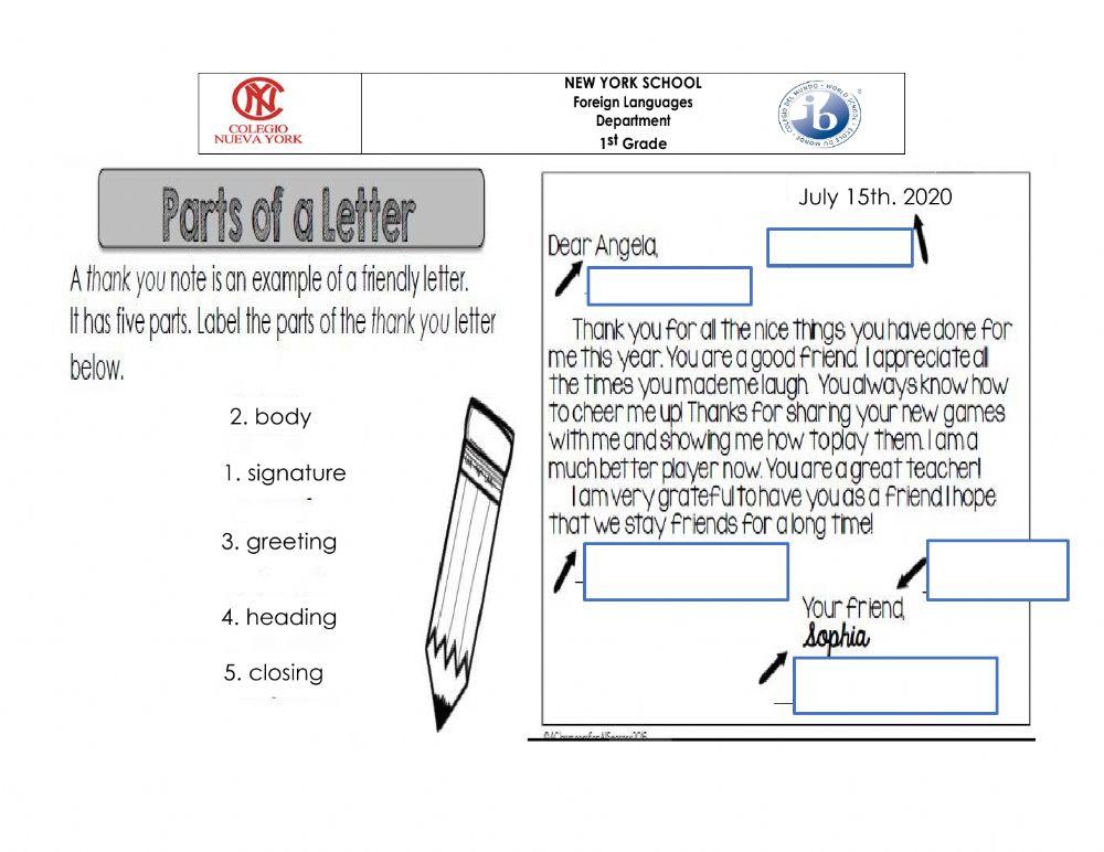 Parts of a thank you letter