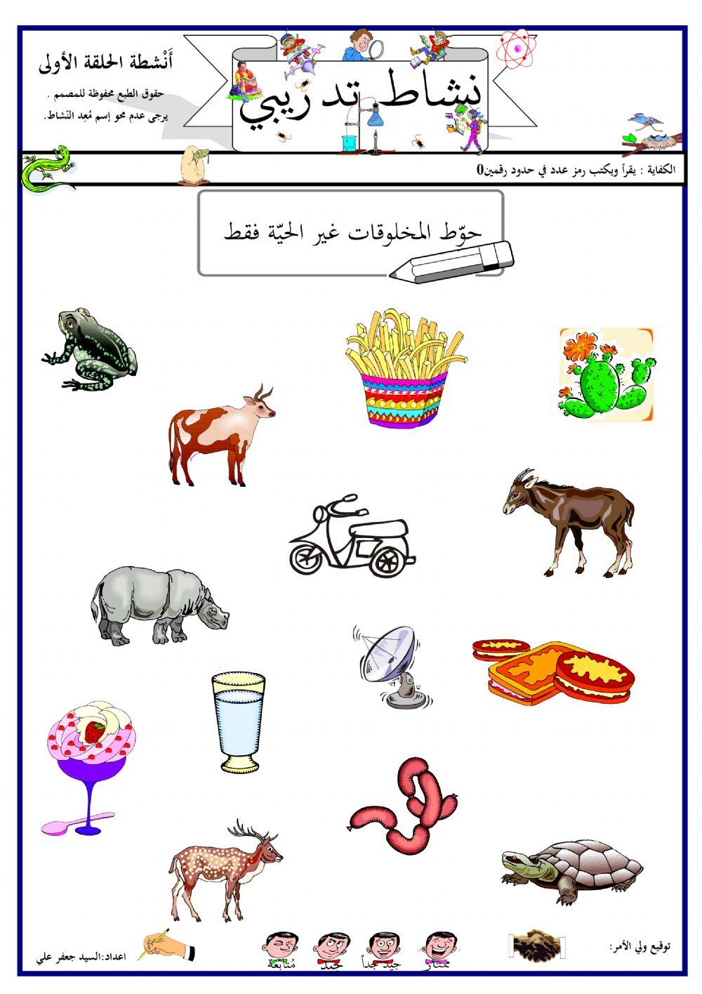 نشاط الصف الأول - مادة العلوم 17