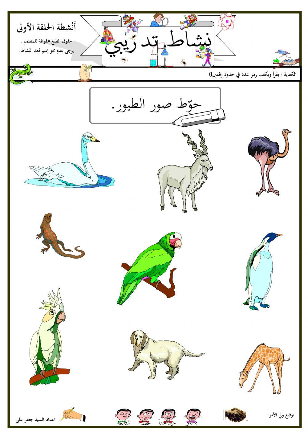 نشاط الصف الأول - مادة العلوم 29