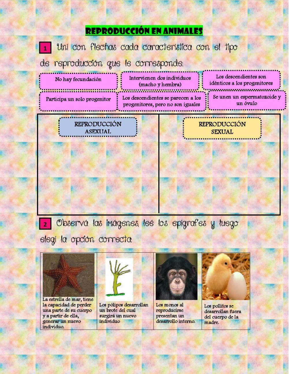 Reproducción en animales y plantas