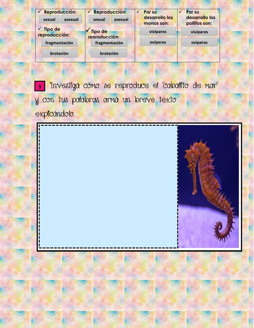 Reproducción en animales y plantas