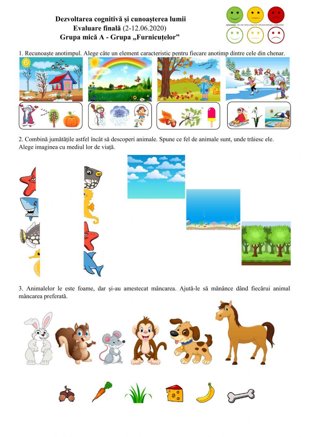 Dezvoltare cognitivă published