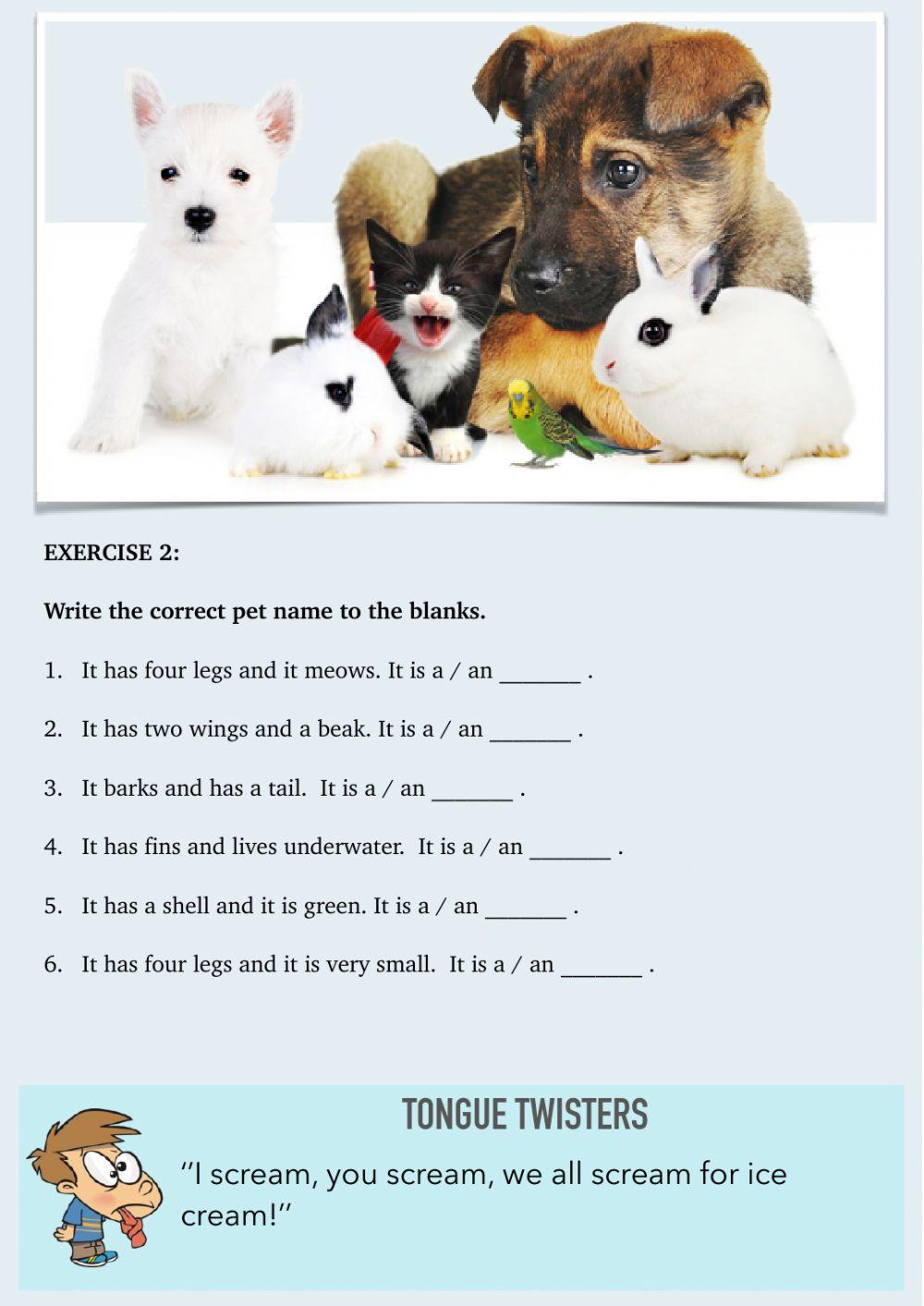 A1 Worksheet 2