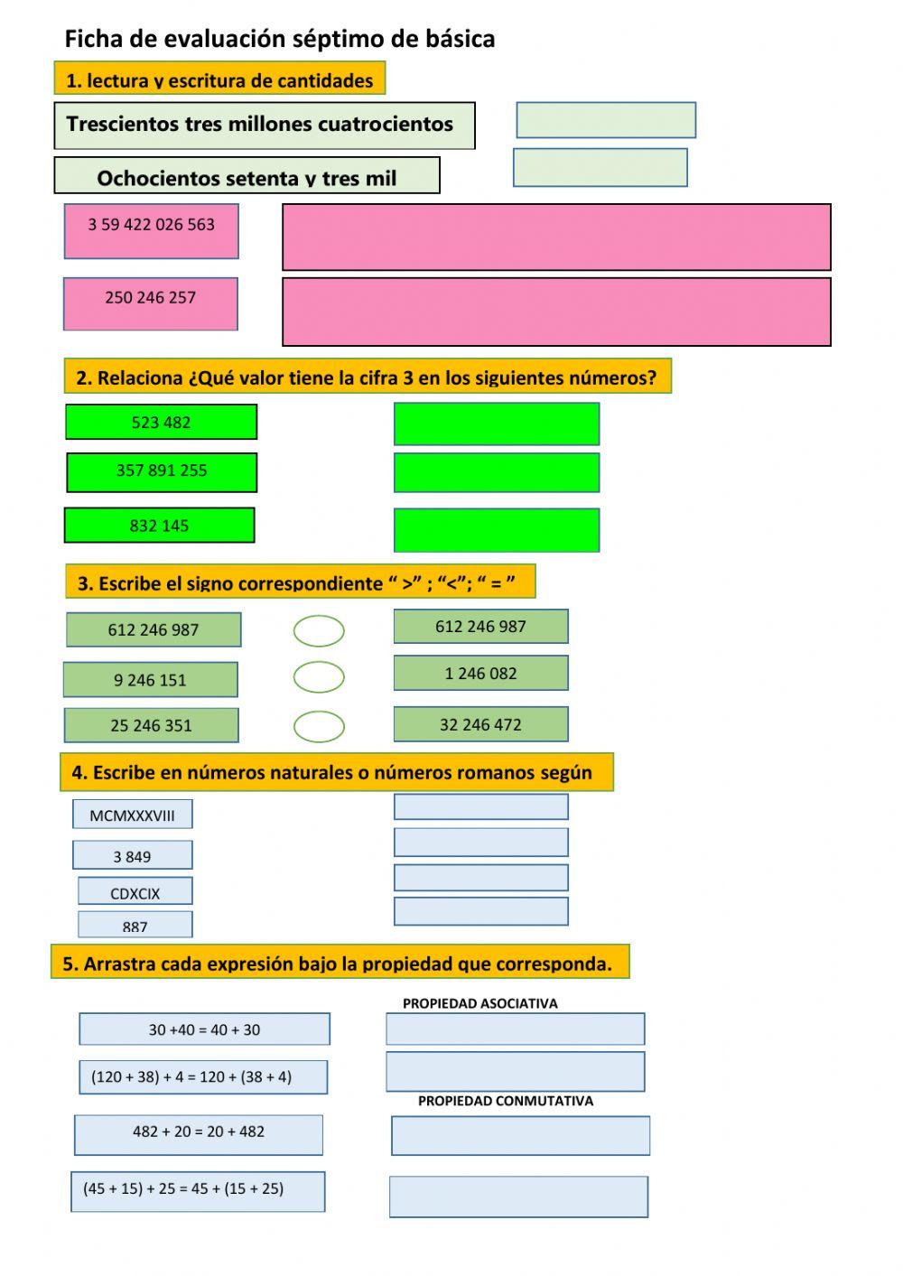 FICHA EVALUATIVA SEPTIMO DE BASICA