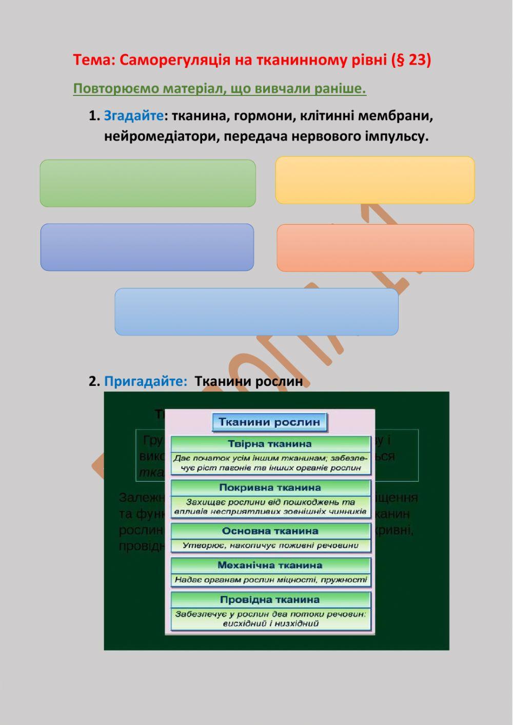 Саморегуляція на тканинному рівні