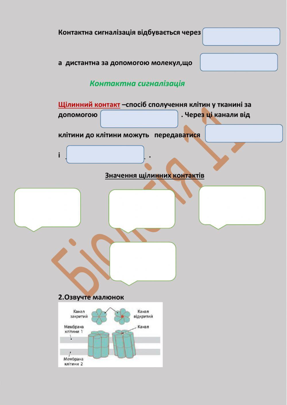 Саморегуляція на тканинному рівні